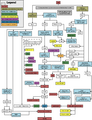 Thumbnail for version as of 23:02, 2 August 2026